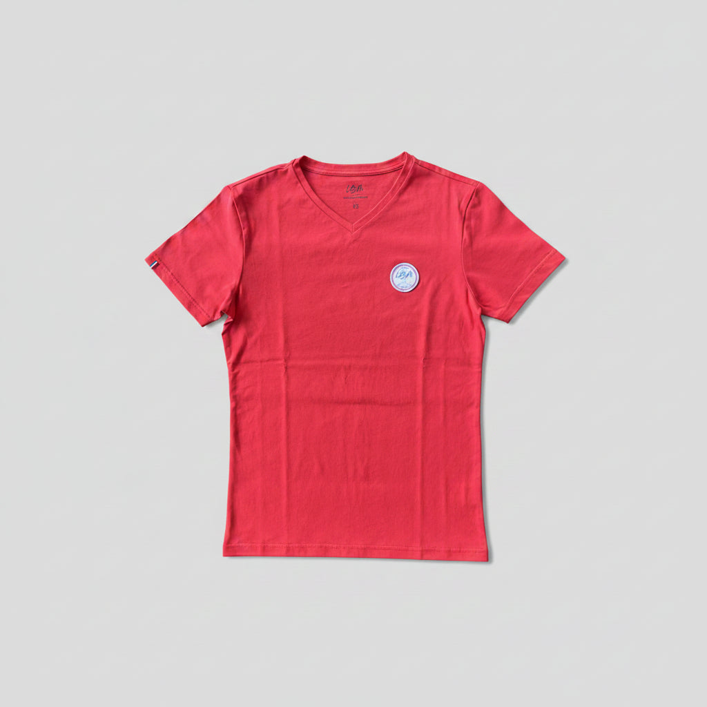 LE TEE-SHIRT LBM COL V HOMME