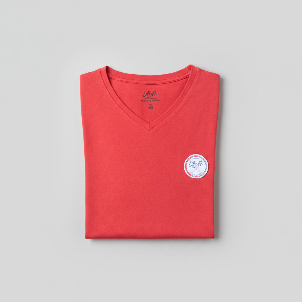 LE TEE-SHIRT LBM COL V HOMME